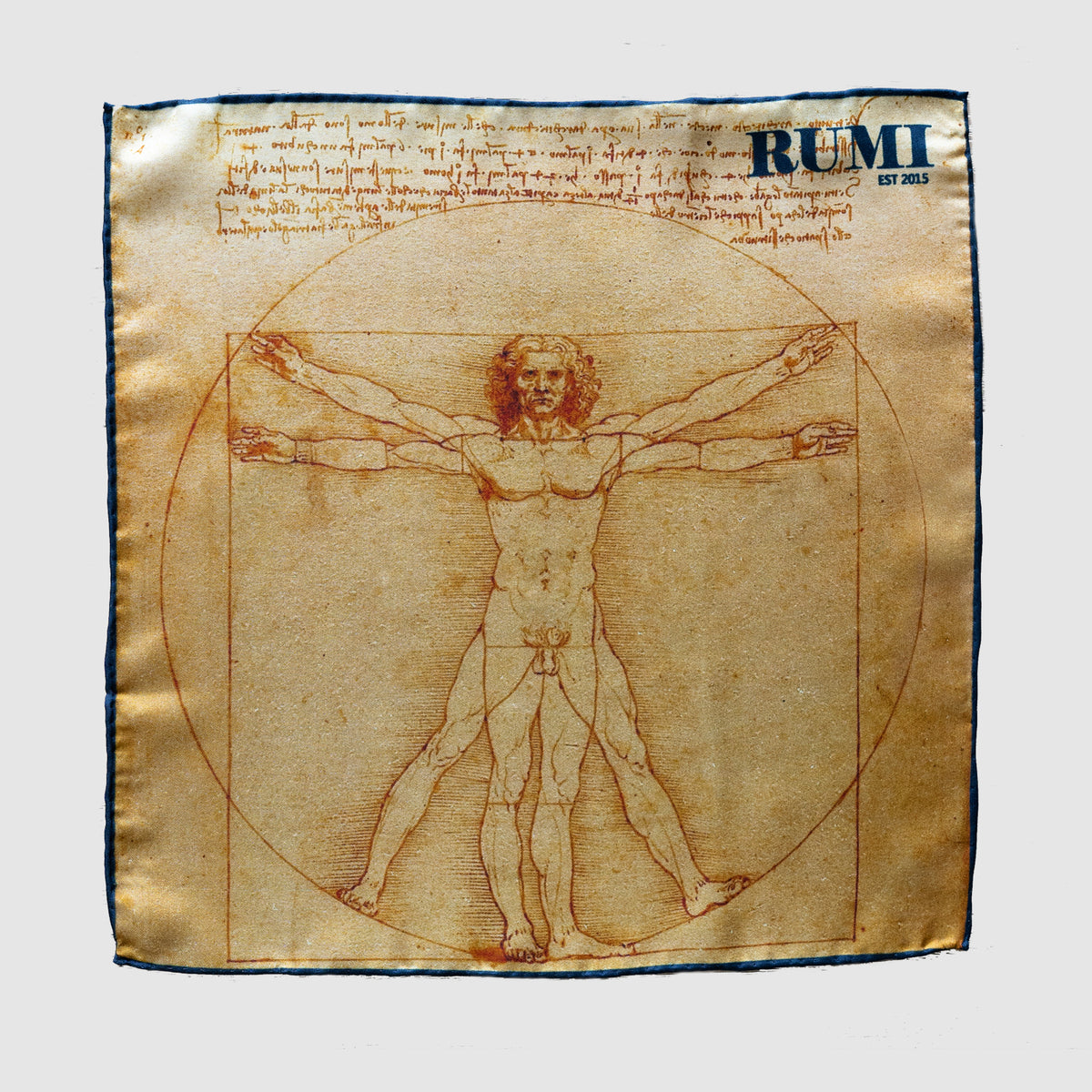 Da Vinci Vitruvian Man Pocket Square